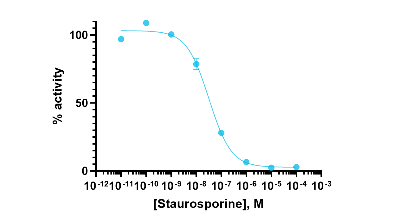 DYRK1B Kinase Enzyme Activity Assay Kit