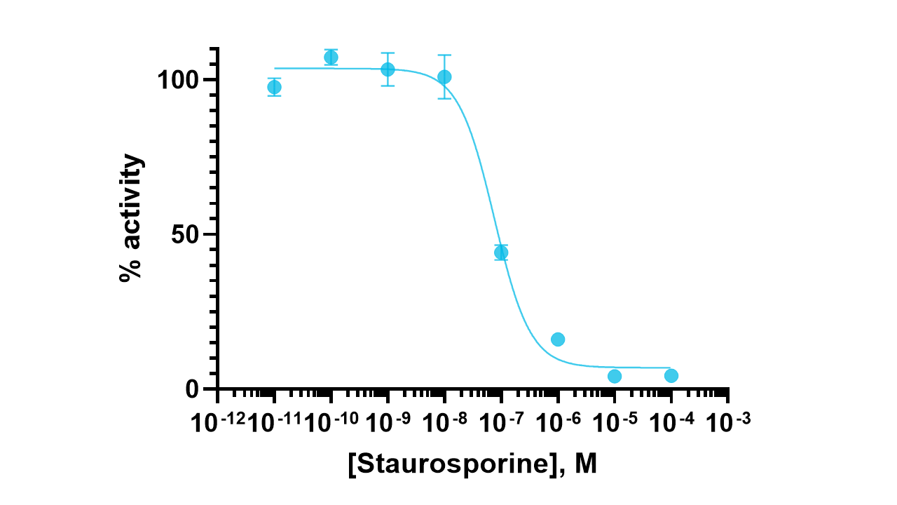 DYRK1A Kinase Enzyme Activity Assay Kit