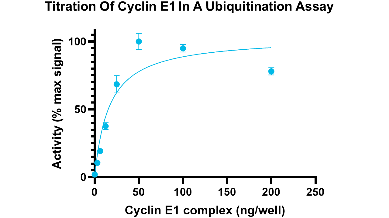 Cyclin E1 complex