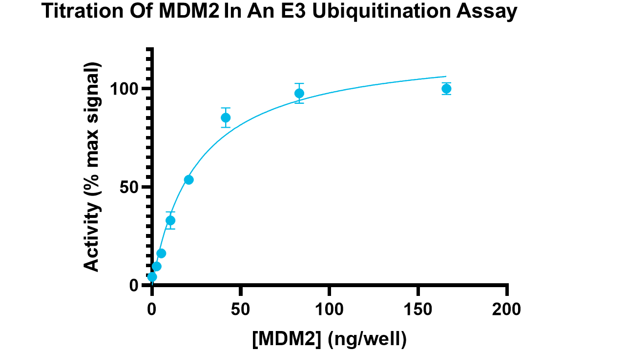 MDM2 (c-Myc tagged), active