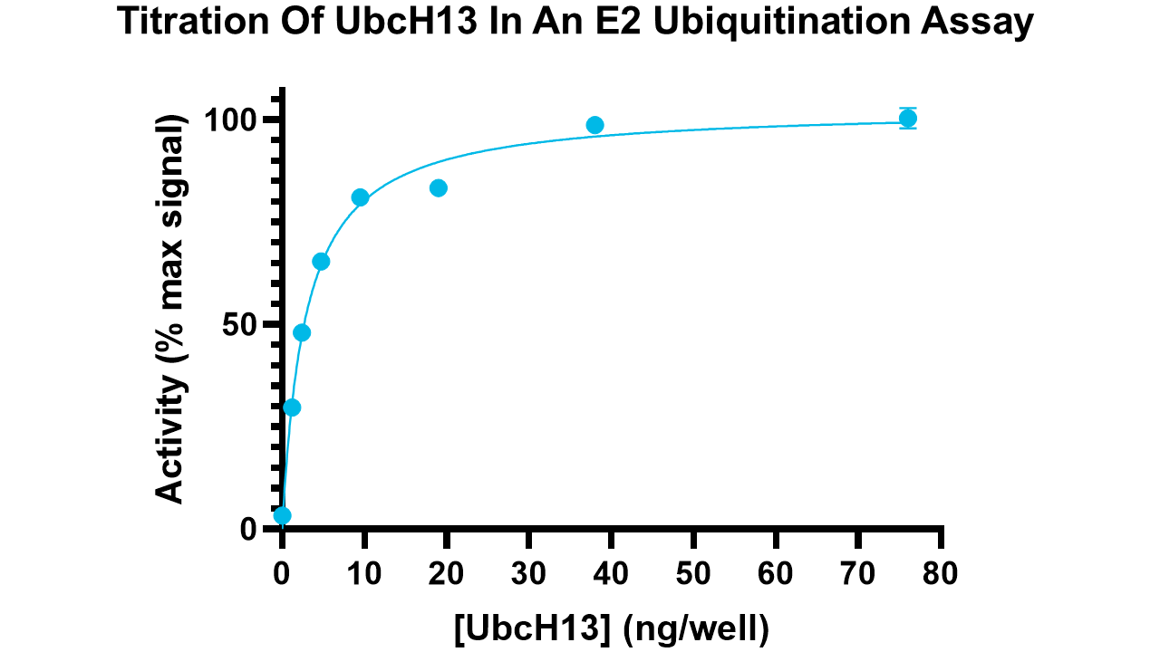UbcH13/Uev1A, active
