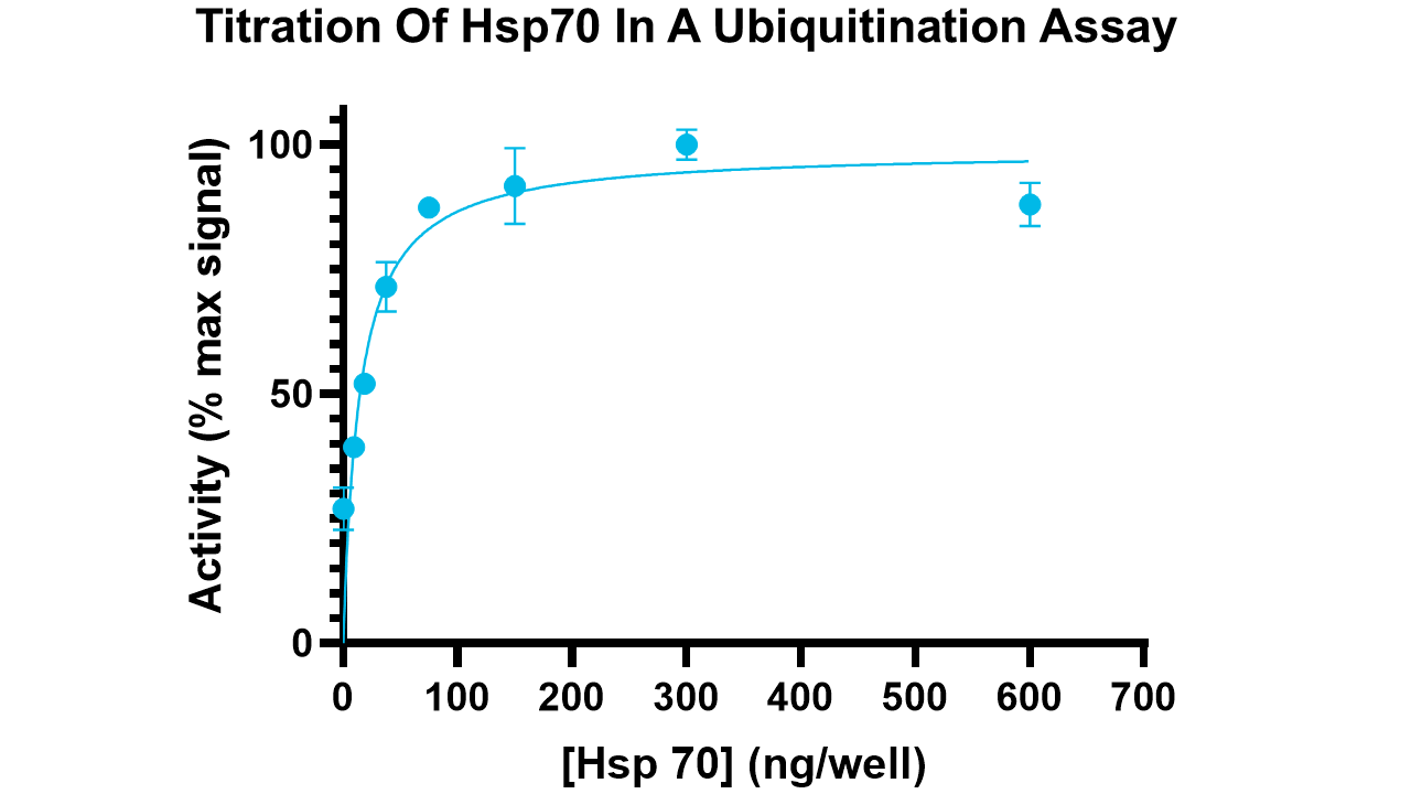 Hsp70