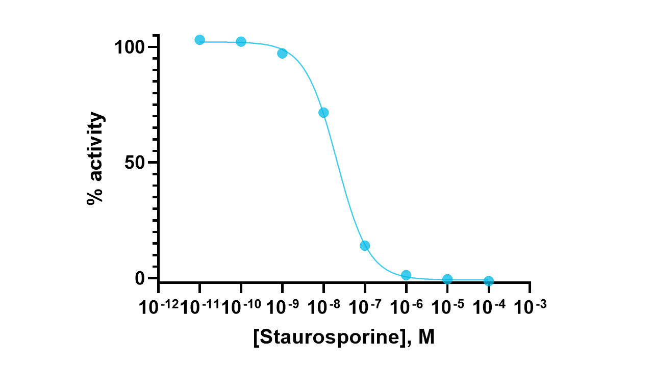 Hck Kinase Enzyme Activity Assay Kit
