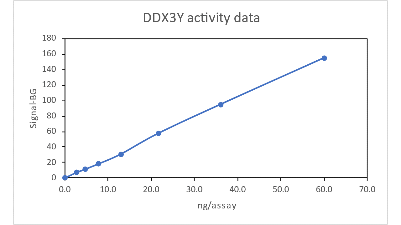 DDX3Y, active