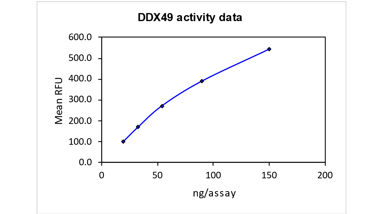 DDX49, active