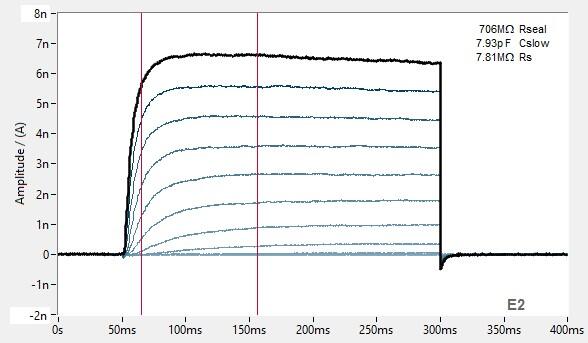 PrecisION™ hKv2.1 Recombinant Stable Cell Line