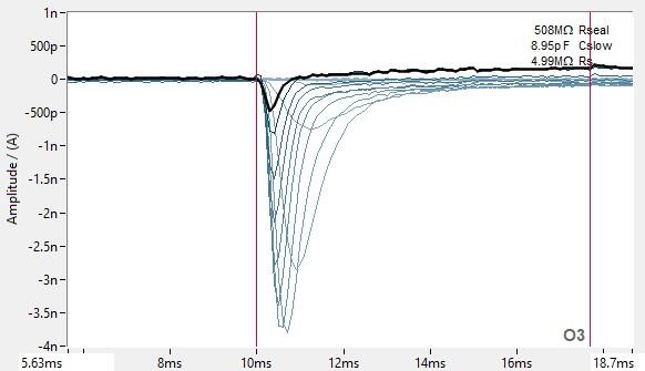PrecisION™ hNav1.4 Recombinant Stable Cell Line