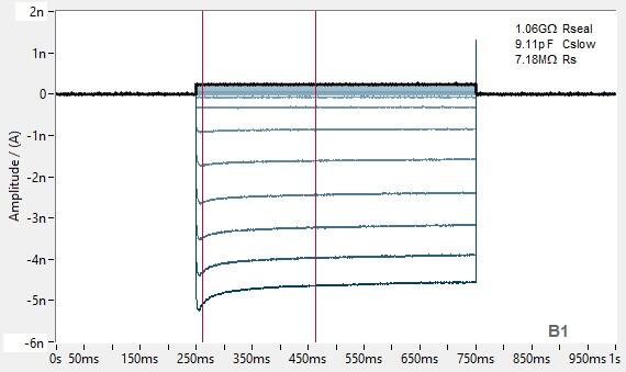 PrecisION™ hKir2.1 Recombinant Stable Cell Line