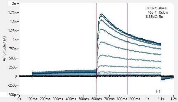 PrecisION™ hERG Recombinant Stable Cell Line (HEK 293)