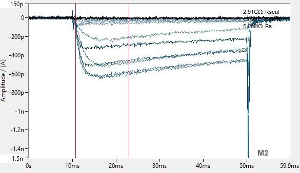 PrecisION™ hCav2.2 alpha1B/beta3/alpha2/delta1 Recombinant Stable Cell Line