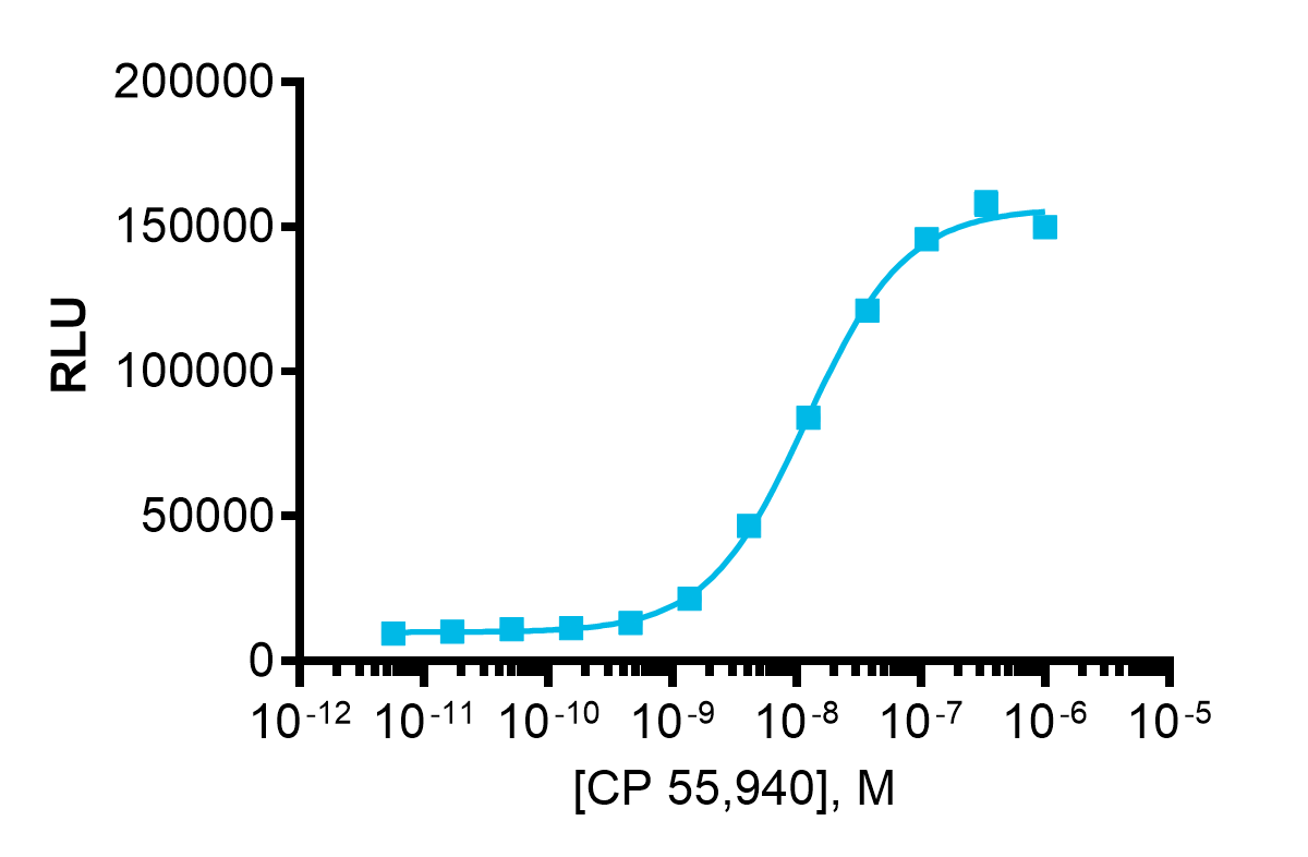 PathHunter® eXpress CNR1 CHO-K1 β-Arrestin GPCR Assay