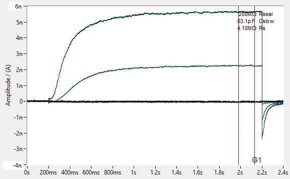 PrecisION™ hKv7.2/Kv7.3 (CHO-K1) Ready-to-Assay Frozen Cells