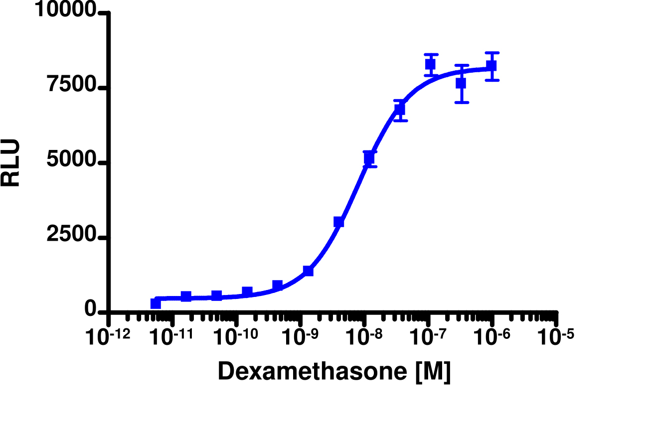PathHunter® Human GR Nuclear Translocation Cell-Based Assay Kit (CHO-K1)