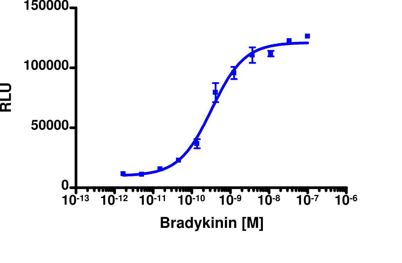 PathHunter® Human BDKRB2 β-Arrestin Stable Cell Line Assay (HEK 293)