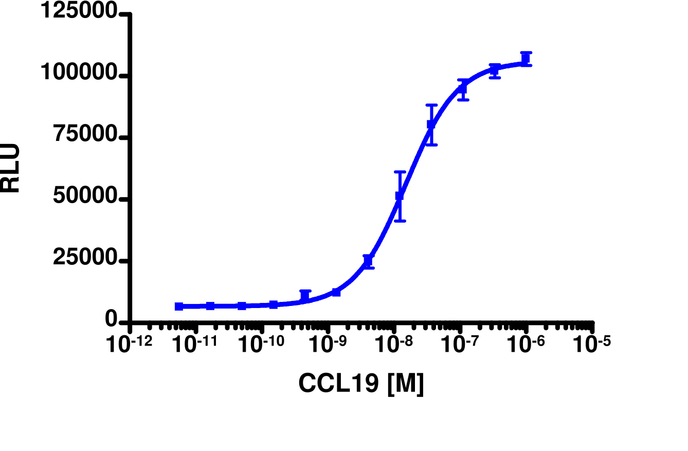 PathHunter® Human MIP-3β (CCR7) β-Arrestin Stable Cell Line Assay (HEK 293)
