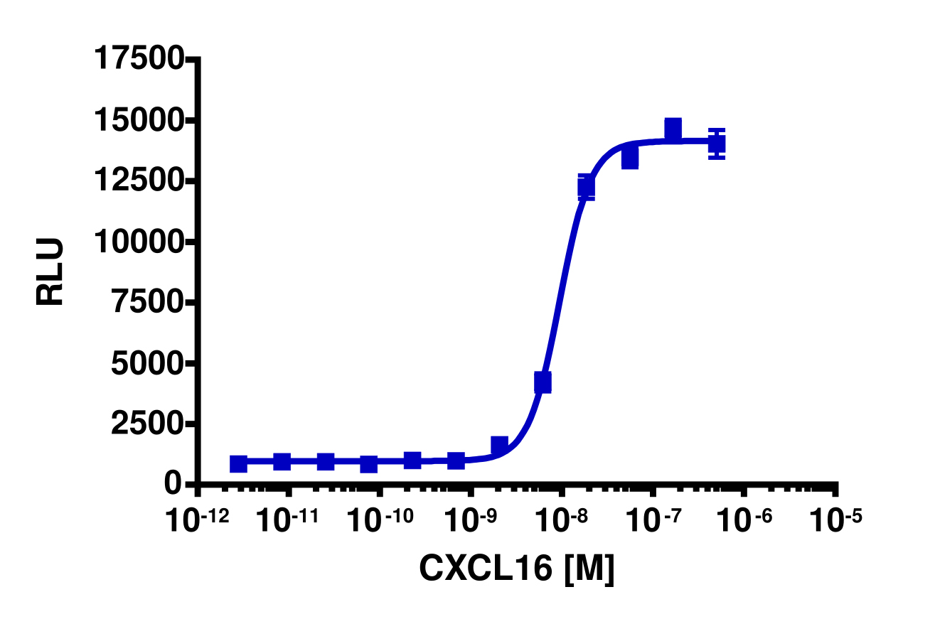 PathHunter® Human CXCL16 (CXCR6) β-Arrestin Stable Cell Line Assay (CHO-K1)