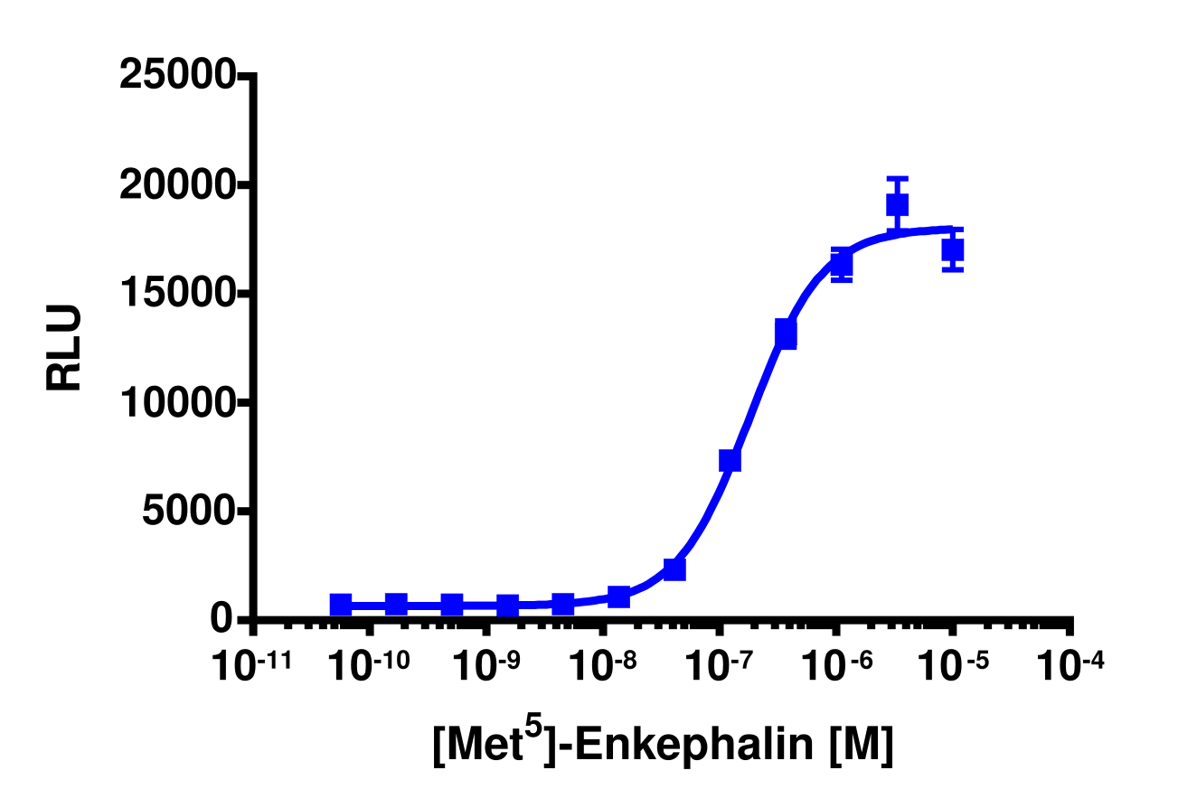 PathHunter® Human OPRM1 (Opioid mu) β-Arrestin Stable Cell Line Assay (CHO-K1)