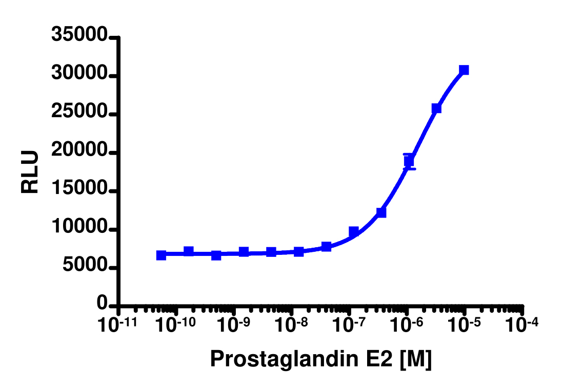 PathHunter® Human PTGER2 β-Arrestin Stable Cell Line Assay (HEK 293)