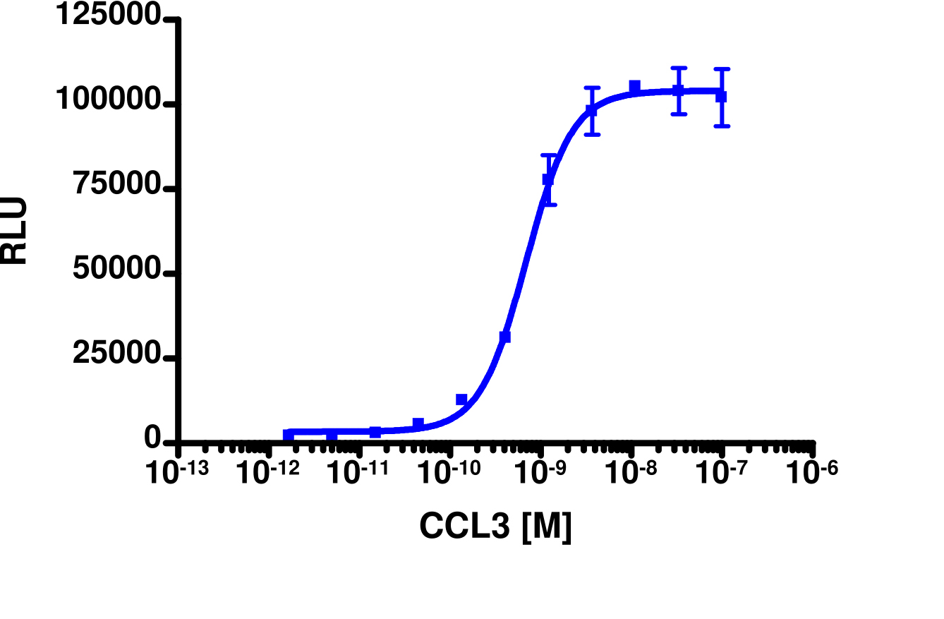 PathHunter® Human MIP-1α (CCR5) β-Arrestin Stable Cell Line Assay (CHO-K1)