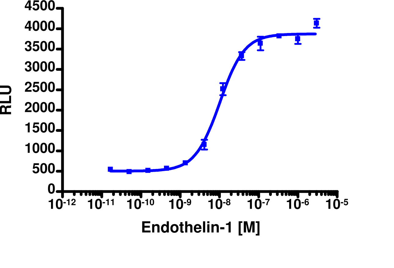 PathHunter® Human EDNRA β-Arrestin Stable Cell Line Assay (CHO-K1)