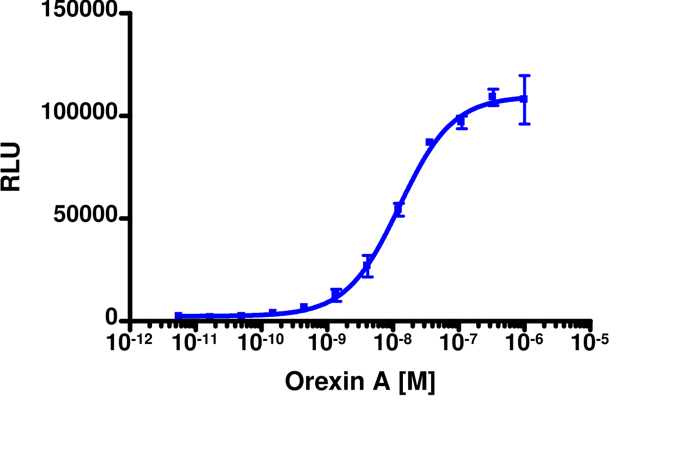 PathHunter® Human HCRTR1 β-Arrestin Stable Cell Line Assay (CHO-K1)