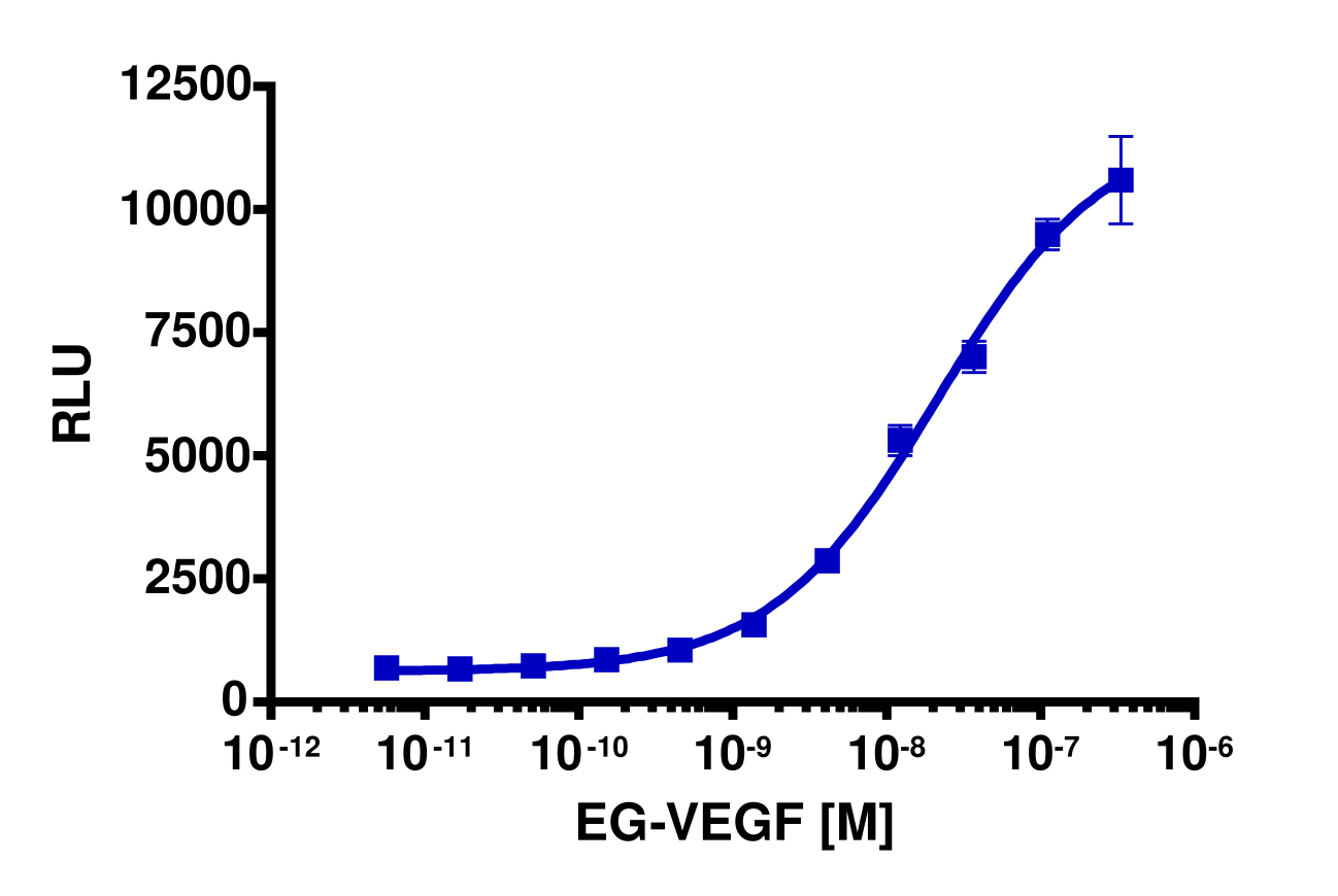 PathHunter® Human PROKR1 β-Arrestin Stable Cell Line Assay (CHO-K1)