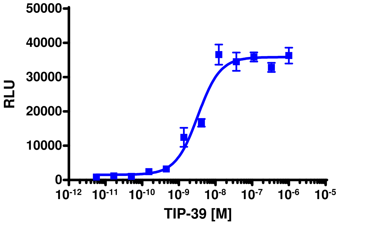 PathHunter® Human PTHR2 β-Arrestin Stable Cell Line Assay (CHO-K1)