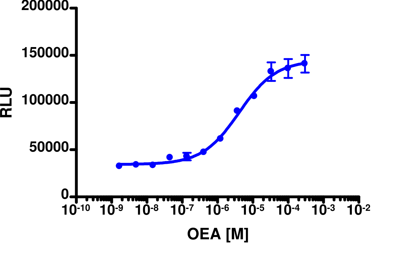 PathHunter® Human GPR119 β-Arrestin Cell-Based Assay Kit (HEK 293)