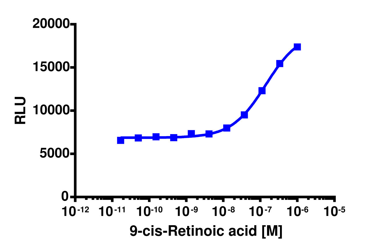 PathHunter® Human RXRα Nuclear Receptor Protein Interaction Cell-Based Assay Kit (U2OS)