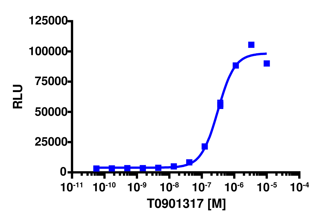 PathHunter® Human LXR beta Nuclear Receptor Stable Cell Line Protein Interaction Assay (CHO-K1)