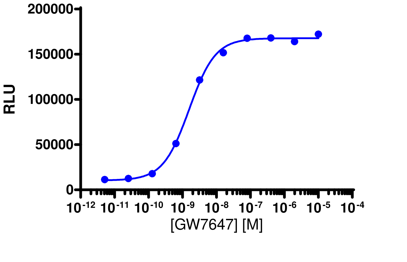 PathHunter® Human PPAR alpha Nuclear Receptor Stable Cell Line Protein Interaction Assay (CHO-K1)