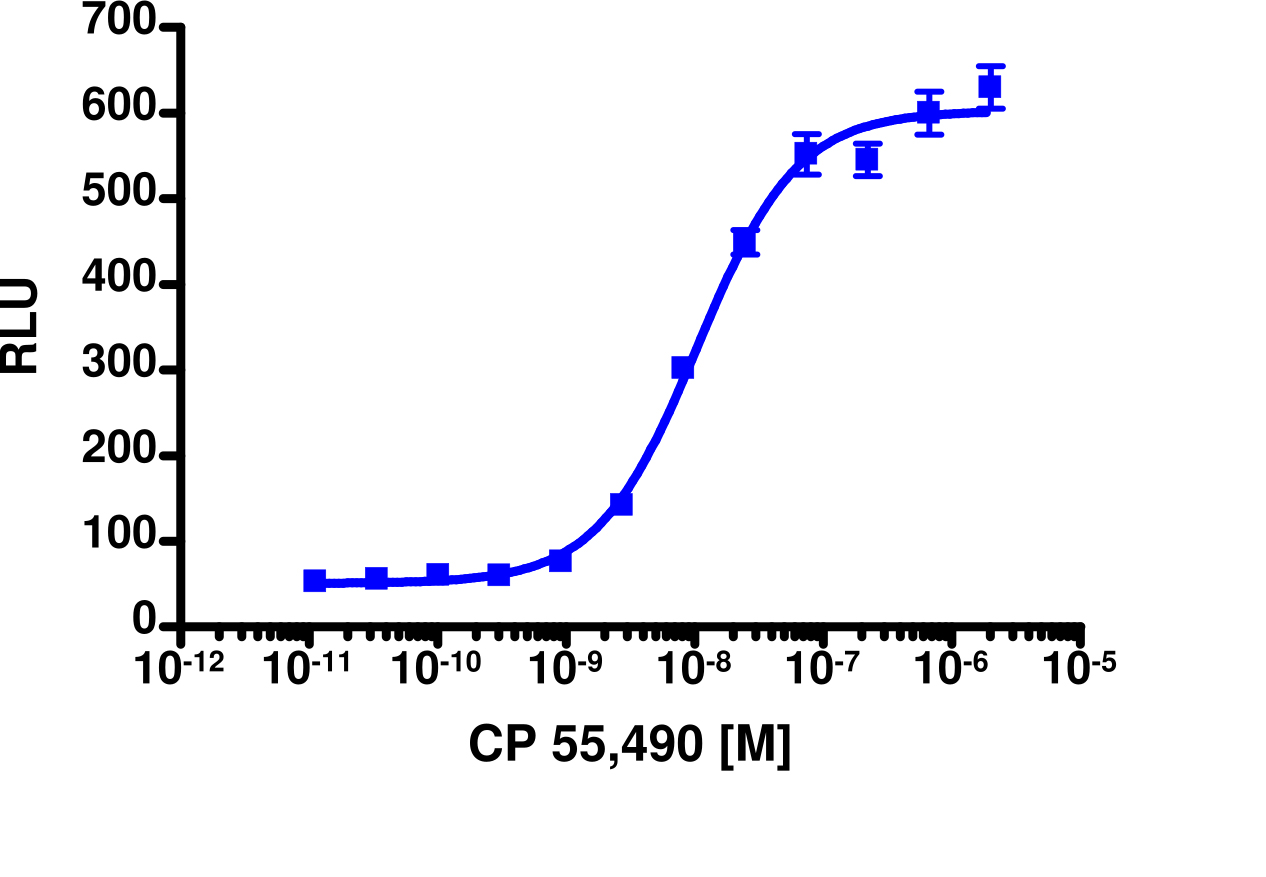 PathHunter® Mouse CNR1 (CB1) β-Arrestin Stable Cell Line Assay (CHO-K1)