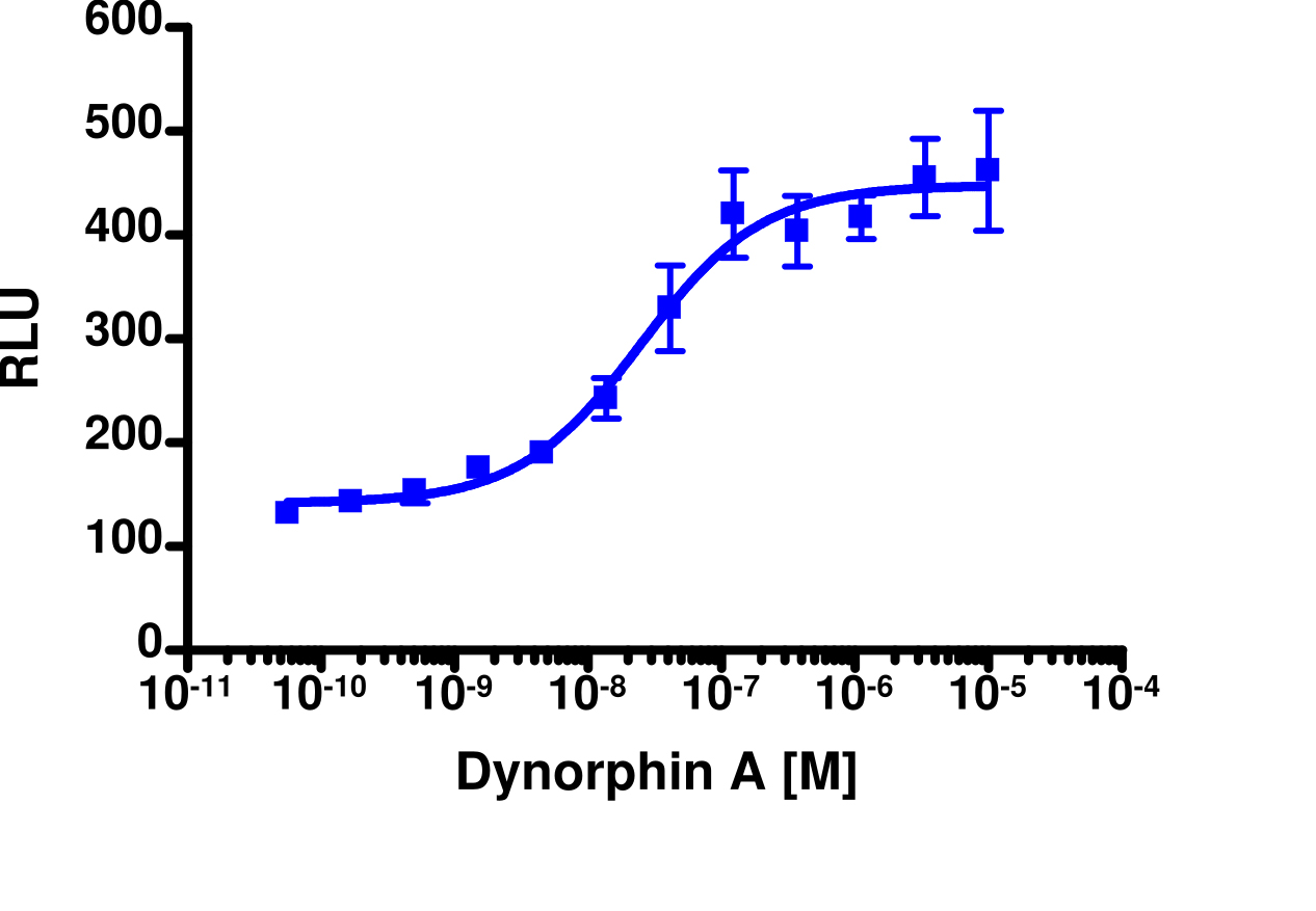 PathHunter® Mouse OPRK1 (Opioid Kappa) β-Arrestin Stable Cell Line Assay (CHO-K1)