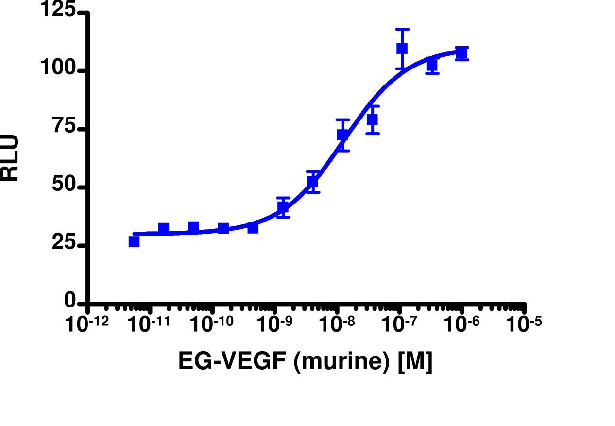 PathHunter® Rat PROKR2 β-Arrestin Stable Cell Line Assay (CHO-K1)