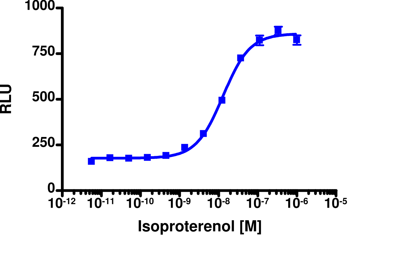 PathHunter® Human ADRB1 β-Arrestin Cell-Based Assay Kit (CHO-K1)
