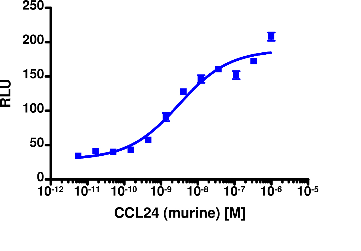 PathHunter® Mouse Eotaxin-2 (CCR3) β-Arrestin Cell-Based Assay Kit (CHO-K1)