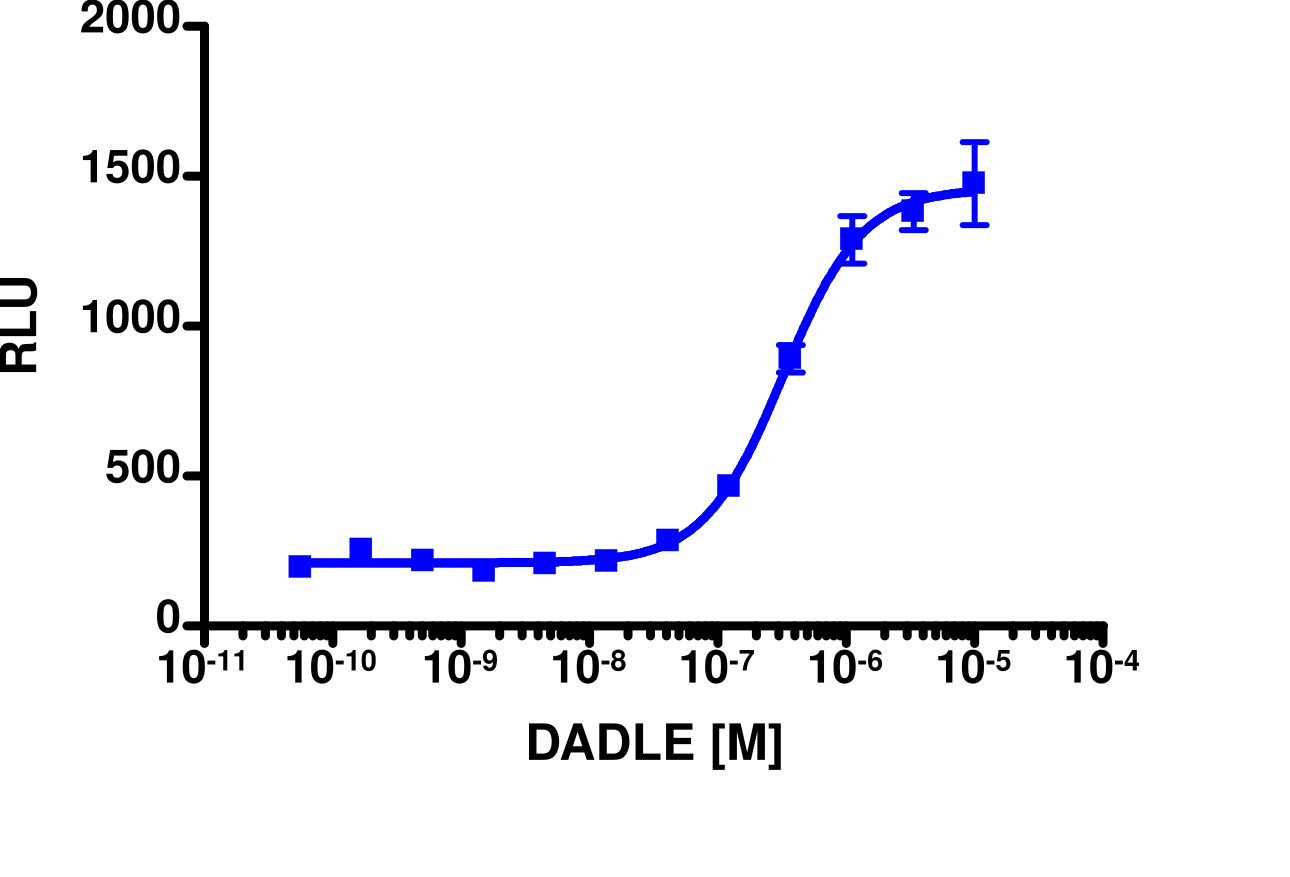 PathHunter® Mouse OPRM1 (Opioid mu) β-Arrestin Stable Cell Line Assay (U2OS)