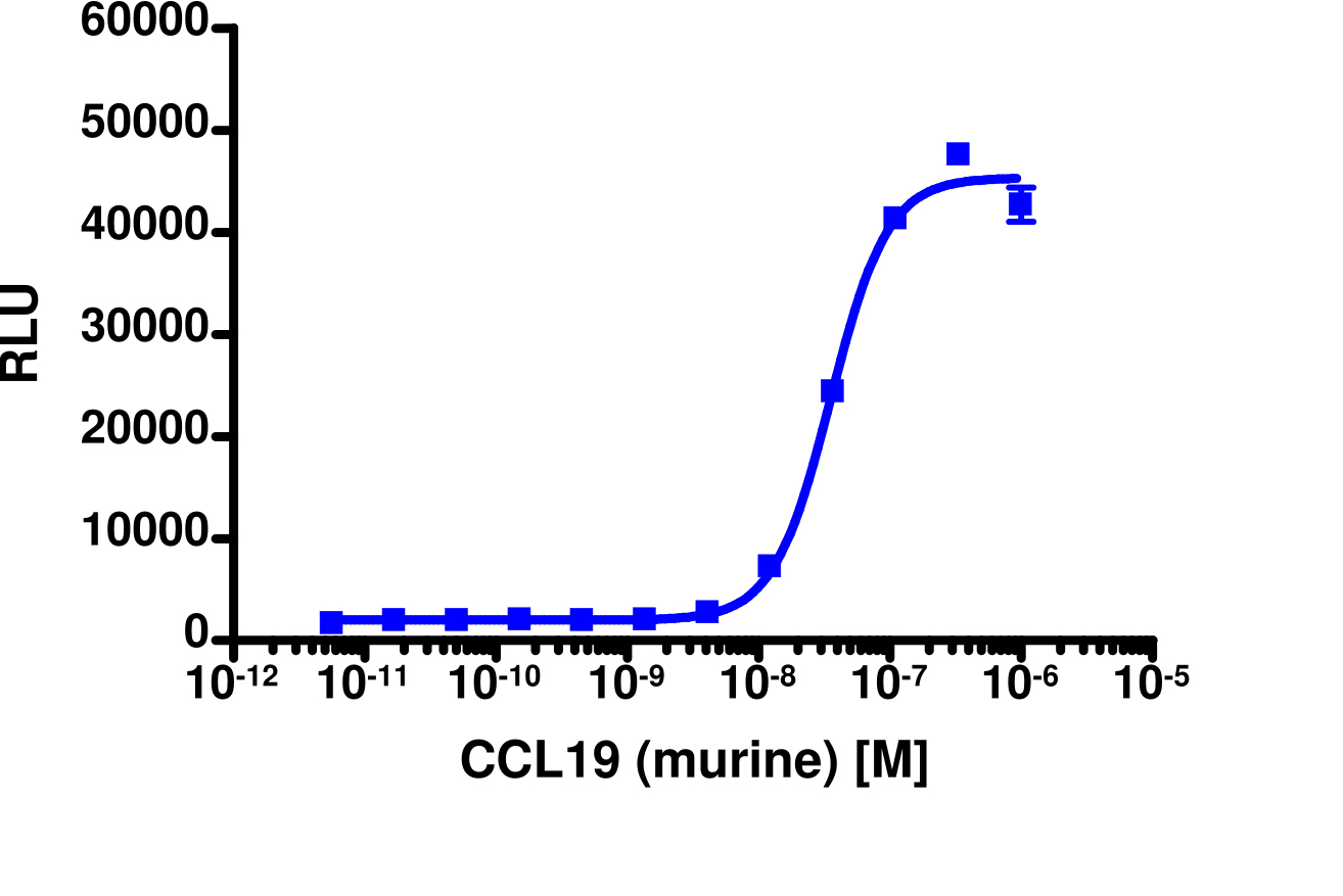 PathHunter® Mouse MIP-3 beta (CCR7) β-Arrestin Stable Cell Line Assay (CHO-K1)