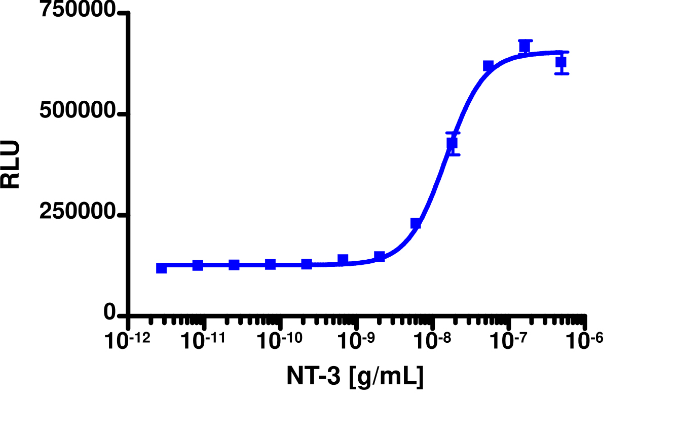 PathHunter® Human TrkC-P75 Stable Cell Line Functional Kinase Assay (U2OS)