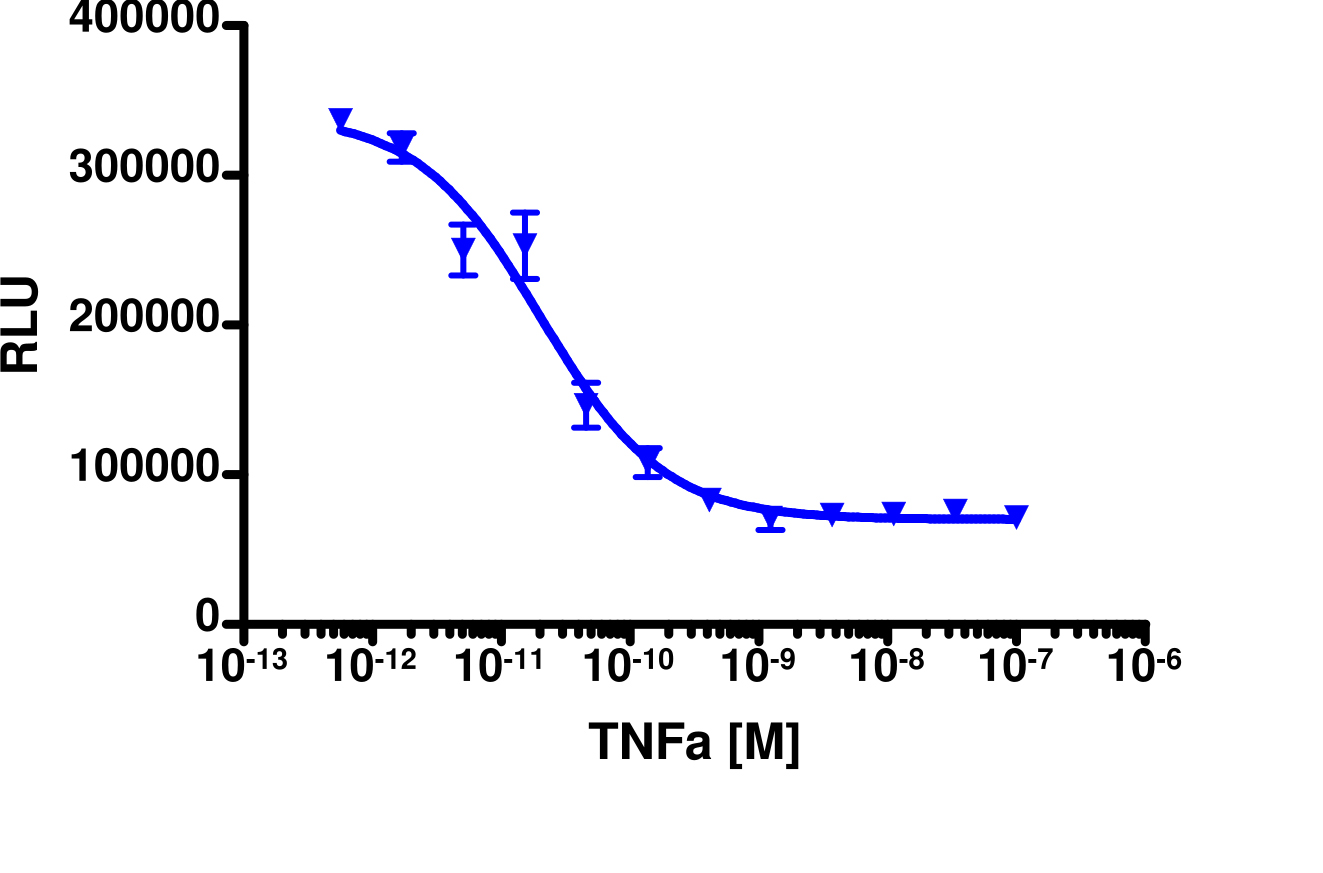 PathHunter® Human IκB Degradation Stable Cell Line Assay (U2OS)