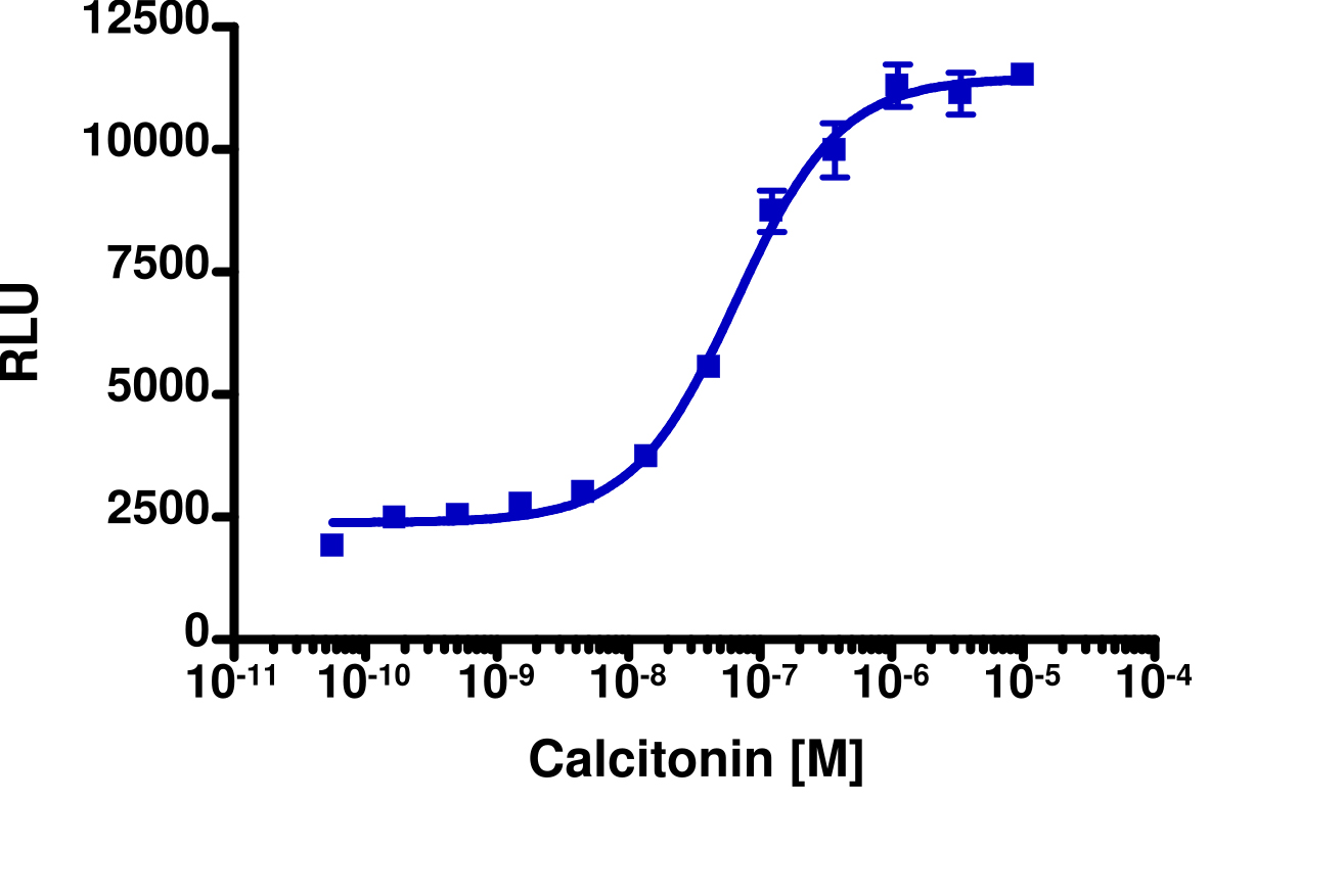 PathHunter® Human Calcitonin (CALCR (No RAMP)) β-Arrestin Stable Cell Line Assay (U2OS)