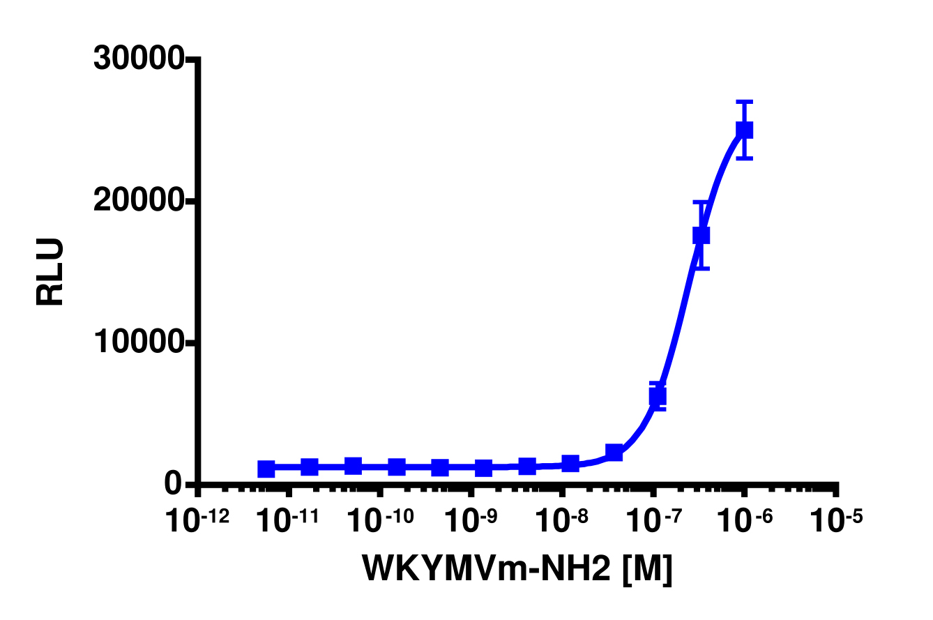 PathHunter® Mouse FPR1 β-Arrestin Cell-Based Assay Kit (CHO-K1)