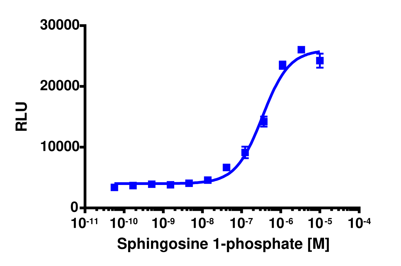 PathHunter® Canine EDG5 (S1P2) β-Arrestin Cell-Based Assay Kit (CHO-K1)