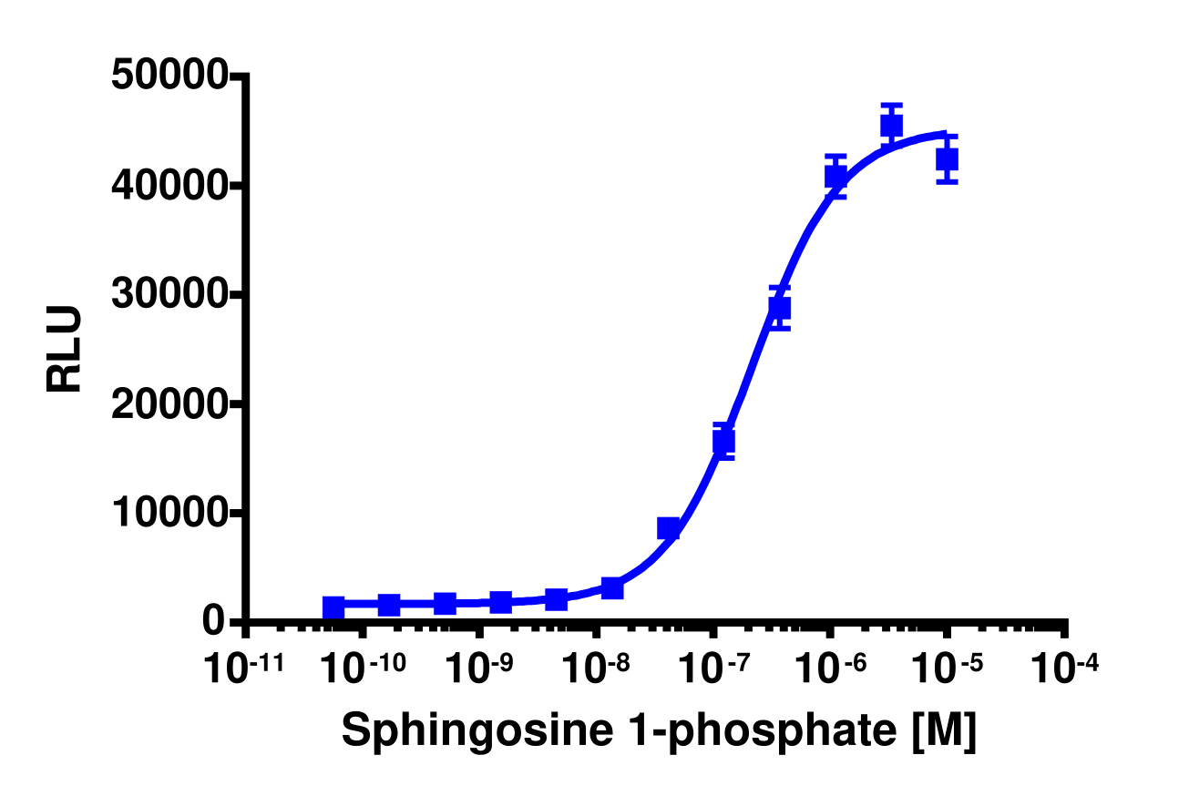 PathHunter® Rat S1P2 (EDG5) β-Arrestin Cell-Based Assay Kit (CHO-K1)