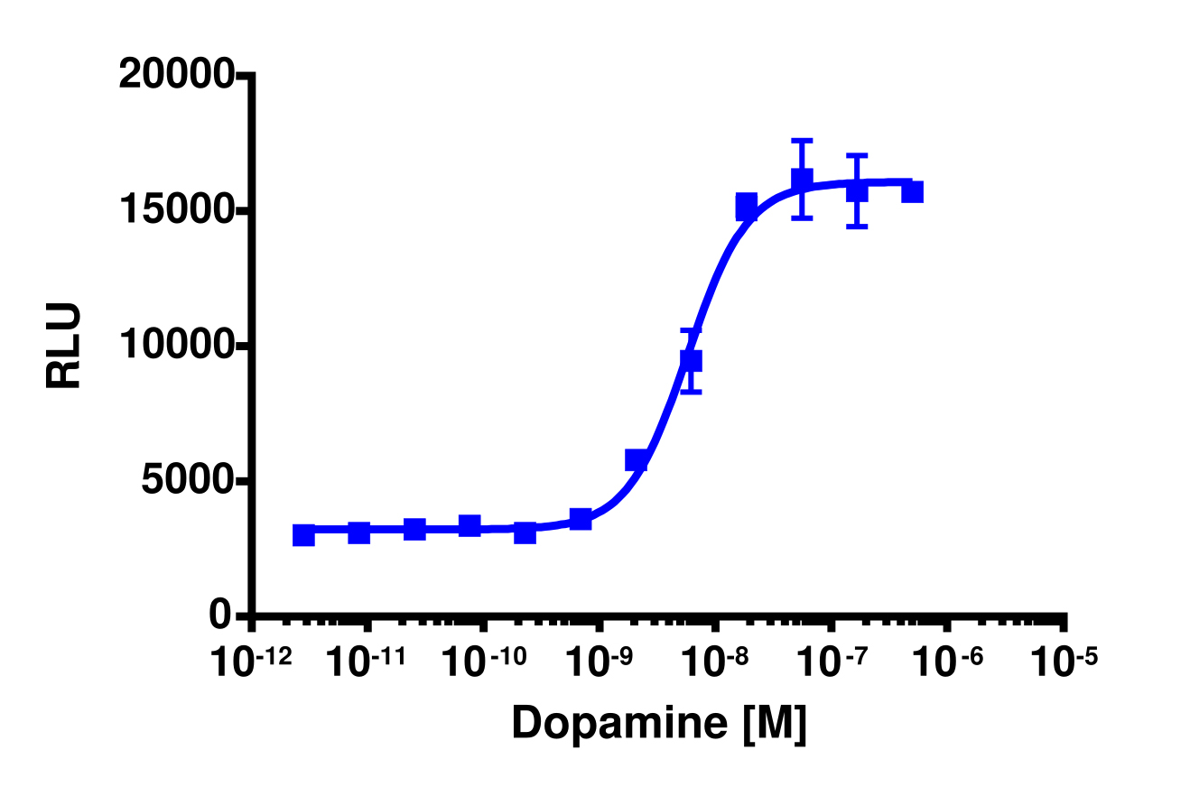 PathHunter® Human DRD3 β-Arrestin Cell-Based Assay Kit (U2OS)
