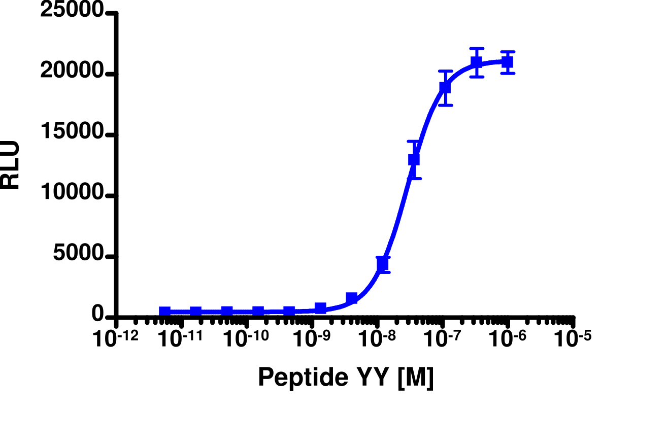 PathHunter® Mouse NPY1R β-Arrestin Cell-Based Assay Kit (U2OS)