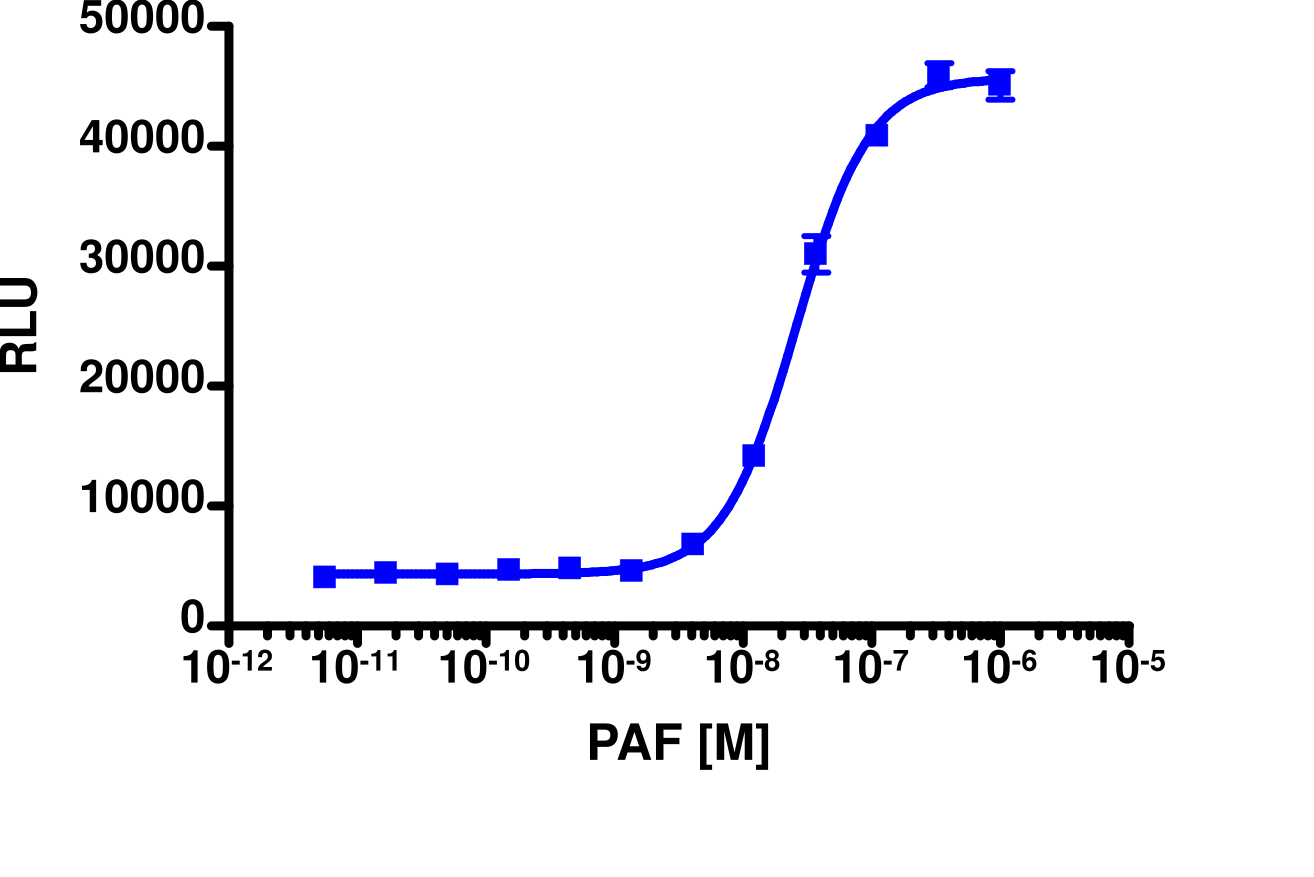 PathHunter® Mouse PTAFR β-Arrestin Stable Cell Line Assay (CHO-K1)