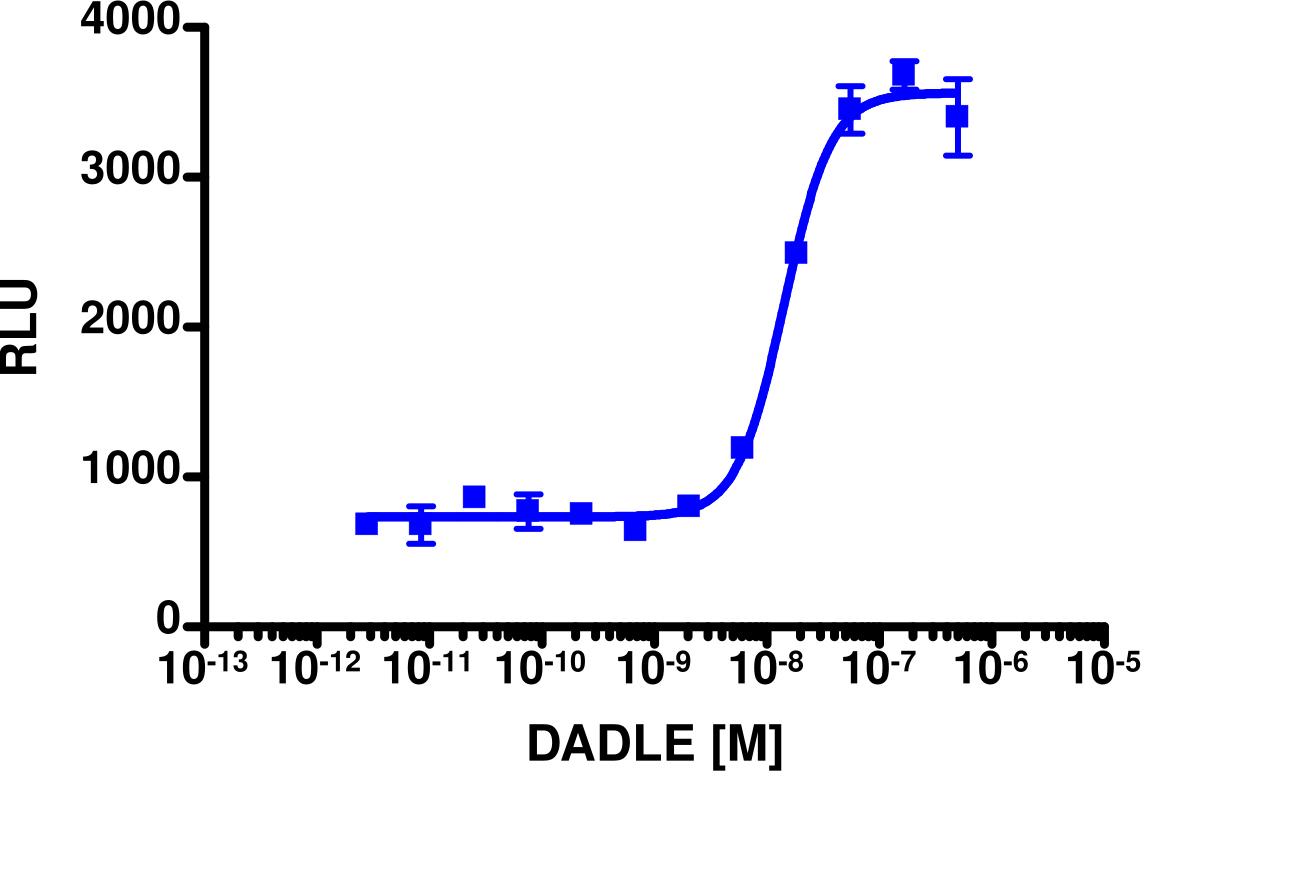 PathHunter® Human OPRD1 (Opioid Delta) Stable Cell Line Activated GPCR Internalization Assay (U2OS)