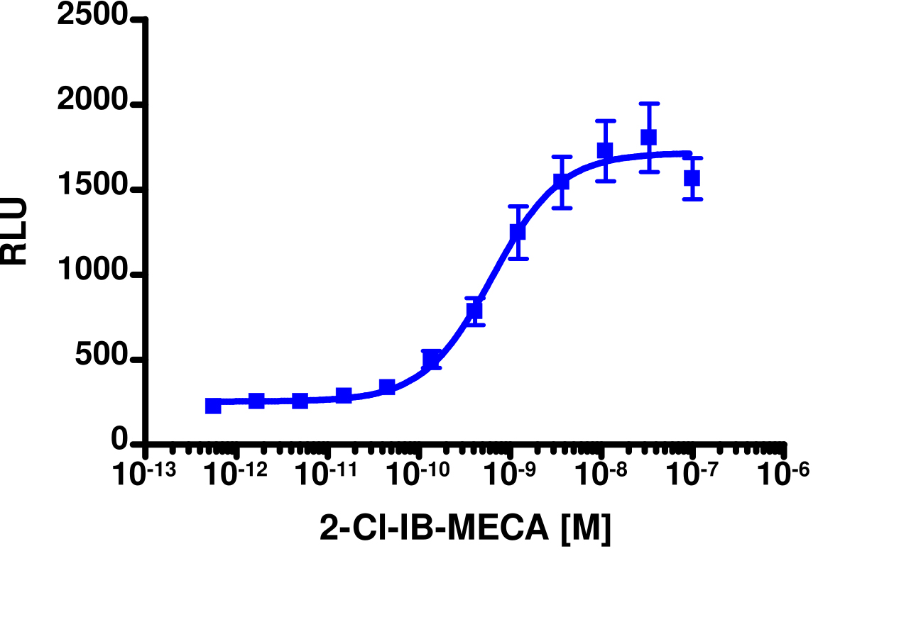 PathHunter® Mouse ADORA3 β-Arrestin Stable Cell Line Assay (CHO-K1)