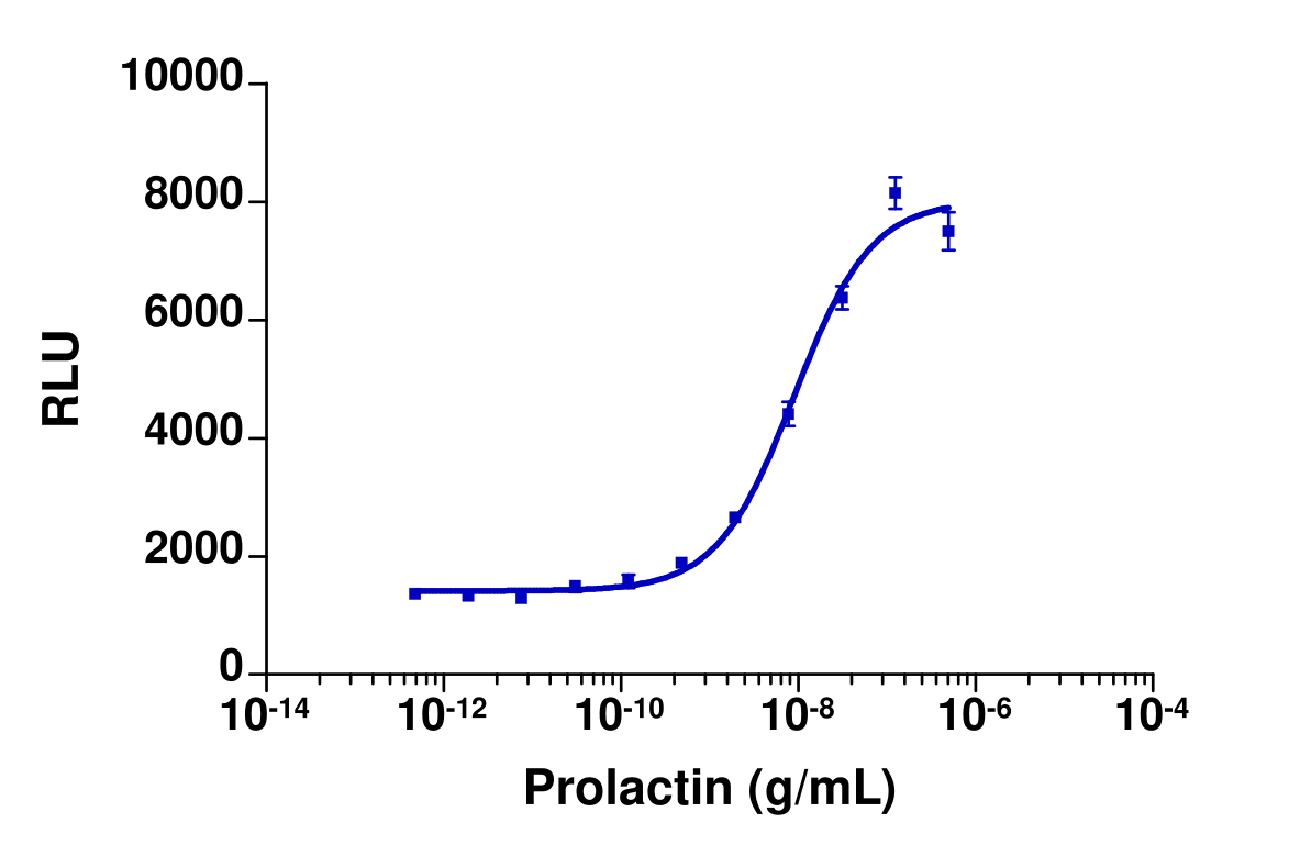 PathHunter® Human PRLR-JAK2 Stable Cell Line Functional Kinase Assay (U2OS)